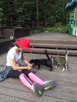 [노트펫][에세이] 북한산의 명물 백운산장..그리고 산장의 보물들 - 아시아투데이 [노트펫][에세이] 북한산의 명물 백운산장..그리고 산장의 보물들