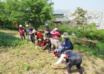 아산시, 요양환자 ‘가족 만남의 숲 치유’ 프로그램 운영 - 아시아투데이 아산시, 요양환자 ‘가족 만남의 숲 치유’ 프로그램 운영