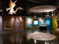 경희대 혜정박물관, ‘지도 속 상상동물’展 선보여 - 아시아투데이 경희대 혜정박물관, ‘지도 속 상상동물’展 선보여