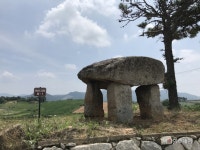 고창군 지석묘, 체계적 보존관리 ‘착착’ - 아시아투데이 고창군 지석묘, 체계적 보존관리 ‘착착’