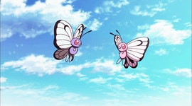 기타 게시판 - 버터플.gif - BATTLEPAGE.COM v12 BATTLEPAGE.COM v12