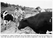 BEMIL 사진 자료실 - BEMIL 군사세계 그럼 소는 누가 키워?!