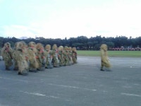 BEMIL 사진 자료실 - BEMIL 군사세계 필리핀 해병대 퍼레이드