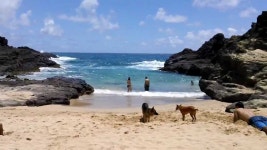 지상에서 영원으로 / 하와이 오아후 하로나 비치  - 유용원의 군사세계