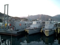 남해 해돋이 보러 갔다가...! - 유용원의 군사세계 남해 해돋이 보러 갔다가...!