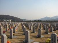 3월의 대전 현충원 - 유용원의 군사세계 3월의 대전 현충원