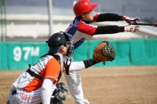 게임원 영암군 야구연합회