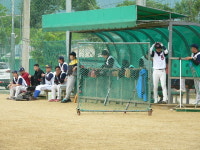 물맑은 양평리그 5/11 비둘기 VS 야생클럽