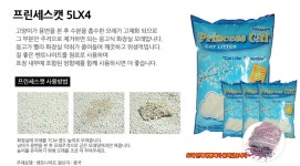 [무료배송] 프린세스캣 고양이모래 7,900원 올킬! :: 다나와 DPG무료배송 프린세스캣 고양이모래 7900원 올킬