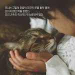 아기와 고양이의 교감 :: 다나와 DPG 아기와 고양이의 교감