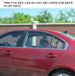 여러분은 지금 어떤 꿈을 갖고 있습니까? :: 다나와 DPG 여러분은 지금 어떤 꿈을 갖고 있습니까