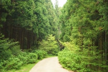 포토 - 제주테라피