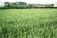 포토 - 제주테라피