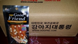 강아지대통령 강아지 대통령