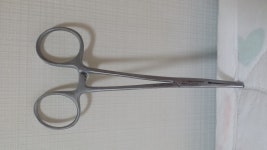 강아지대통령
