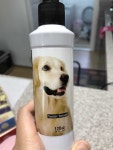 강아지대통령