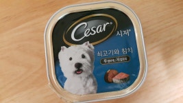 강아지대통령