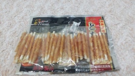 강아지대통령 강아지 대통령