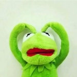 강아지대통령 강아지 대통령