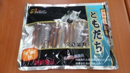 강아지대통령