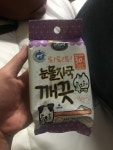 강아지대통령