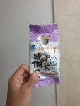 강아지대통령