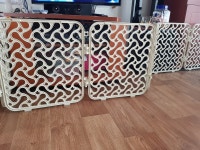 강아지대통령 강아지를 사랑하는 대통령