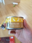 강아지대통령