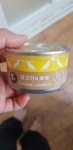 강아지대통령