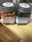 강아지대통령