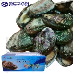 [완도군수협] 청정바다 꼬마 참전복(구이/탕용) 1kg(50미내외)_간편보기_동원몰