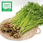 무농약 청도 한재미나리 1kg(봉)_간편보기_동원몰