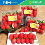 [곡성농협] 당일수확발송 하우스 딸기 2kg(쨈용 500g 4팩 실중량)_간편보기_동원몰
