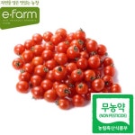 [이팜] 무농약 방울토마토(특 2번)1kg_간편보기_동원몰
