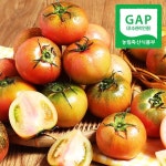 무농약 인증 대저 짭짤한 맛 토마토  2kg 15,900원상품상세_동원몰