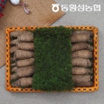 [동횡성농협] 강원도 더덕선물세트_더덕 1kg_간편보기_동원몰