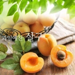[과일예찬] 살구 2kg(25~45과내)_간편보기_동원몰