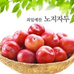 [과일예찬] 노지 자두 2kgx2박스_간편보기_동원몰