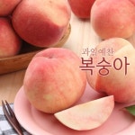 [과일예찬] 싱그런 복숭아 4.5kg(24과내외)_간편보기_동원몰