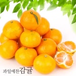 [과일예찬] 제주 노지감귤 5kg/S_간편보기_동원몰