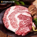 [문경축협]문경약돌한우 등심 400g(1등급이상)_간편보기_동원몰
