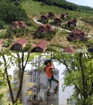 영주 국립산림치유원ㆍ춘천 용화산자연휴양림ㆍ덕유산 포레스토랑, 이색 자연휴양림 소개(관찰카메라24)