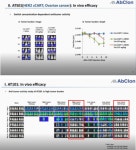 유관기관정보<동향과 정보-KHIDI 대표사이트 앱클론, ‘on&off’ zCAR-T’ 동물모델서 “항암효과 확인”