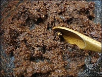 ♪휴가지 요리가 쉬워지는 만능양념장 3가지