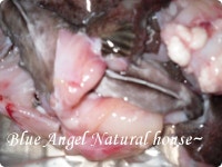 ★주말 저녁 가족식사 - 꽃게 아구찜 ★