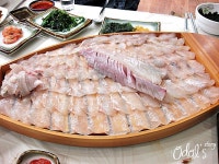 [강원도 속초 장사동] 바다횟집 