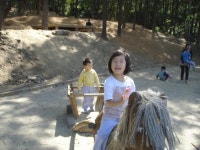 숲속놀이터....용인자연휴양림