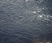 사람 사는 세상