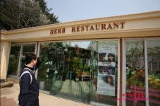 [포천맛집/허브레스토랑]허브아일랜드 안에 위치한 허브아일랜드 맛집 허브레스토랑!!