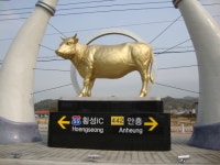 횡성 한우마을